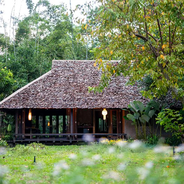 ที่พักเชียงดาว รีสอร์ทเชียงดาว Azalea Village บรรยากาศธรรมชาติ วิวภูเขา