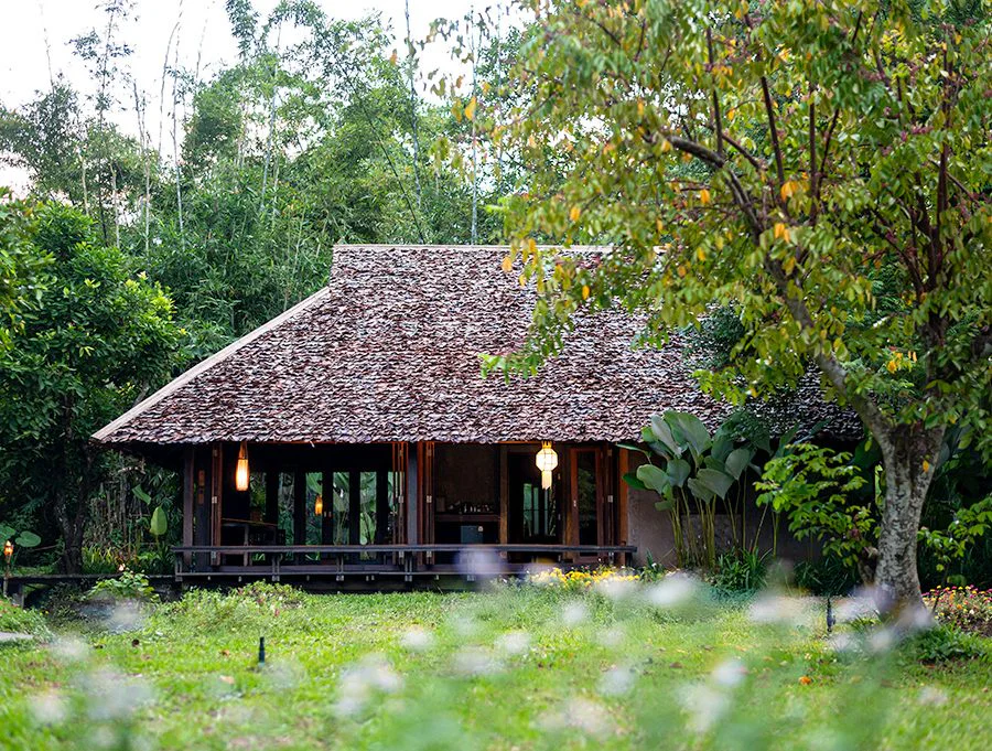 ที่พักเชียงดาว รีสอร์ทเชียงดาว Azalea Village บรรยากาศธรรมชาติ วิวภูเขา