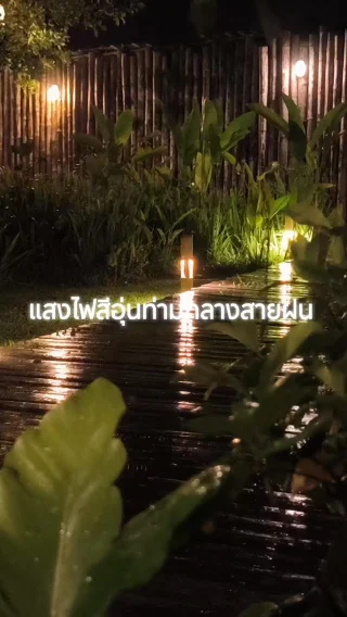 #เชียงดาว #azaleavillageresort #ที่พักเชียงดาว #ดอยหลวงเชียงดาว #ธรรมชาติ